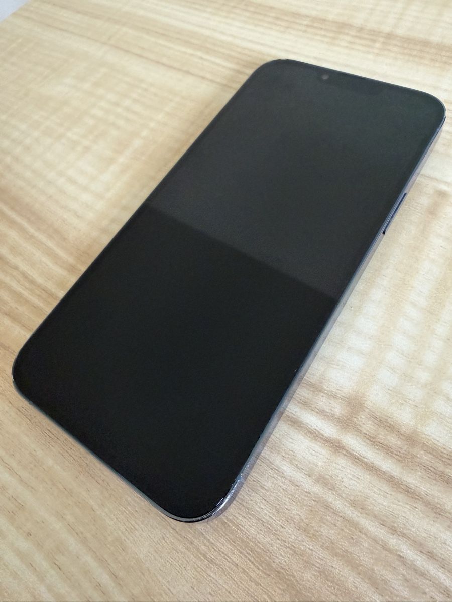 Apple Telefoni cellulari / Smartphones: Apple iPhone 13 Pro Max 128GB hellblau – Usato da Russikon venduto da Melanie_M 4