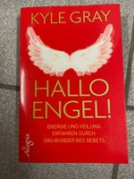 Hallo Engel!: Energie und Heilung erfahren durch das Wunder