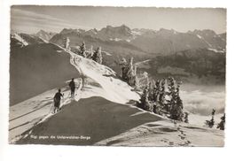 RIGI gegen die Unterwaldner-Berge - Ski-Touren-Läufer