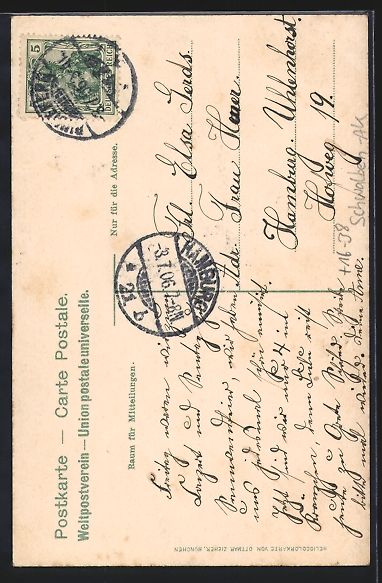 Cartoline postali: Schwalben-AK Pinneberg, Strassenpartie u – Usato da Berlin venduto da bartko-reher 1