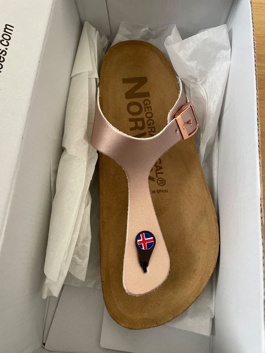 Scarpe da donna: Geographical Norway Flipflops Gr. 39 NEU – Nuovo e nell'imballaggio originale da Waltenschwil venduto da hansnine 3