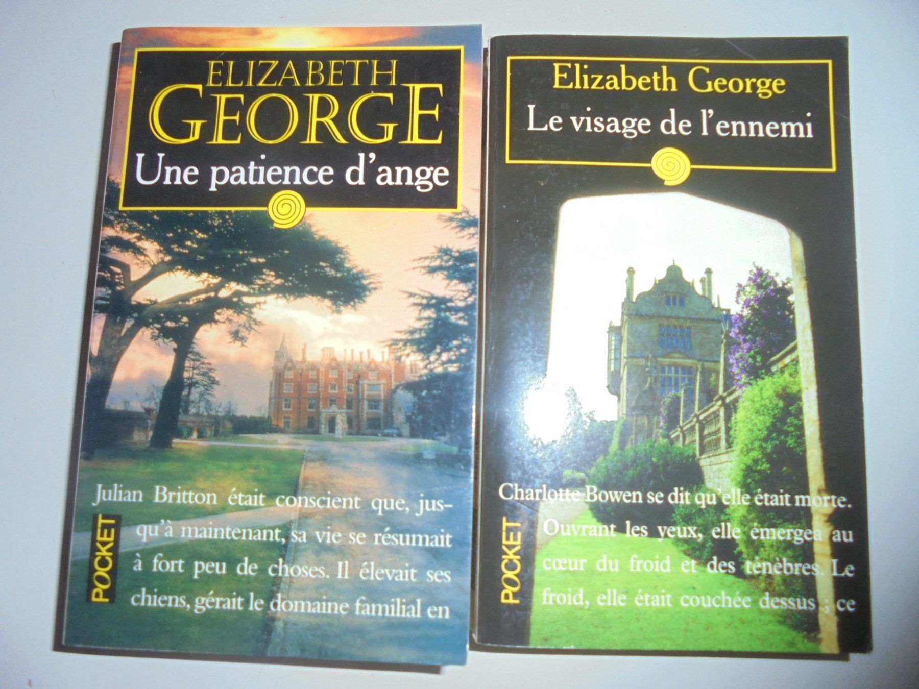 Libri: 9 romans de Elizabeth GEORGE – Usato da Crissier venduto da Promopost 3