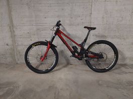 Norco aurum hsp L/Xl