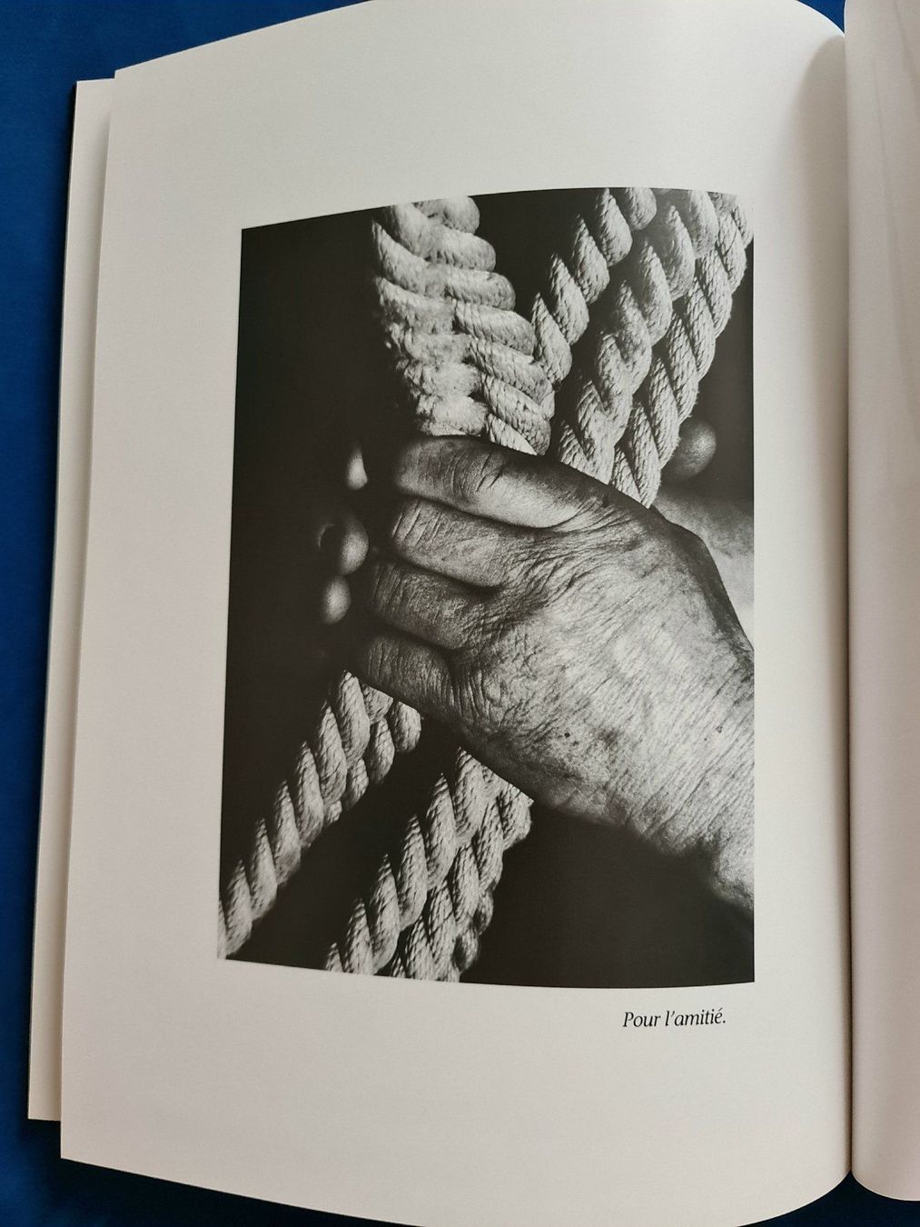 Libri: La Vaudoise – Usato da Cortaillod venduto da signep 5