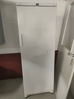 Gefrierschrank Sibir weiss mit Schubladen gebraucht