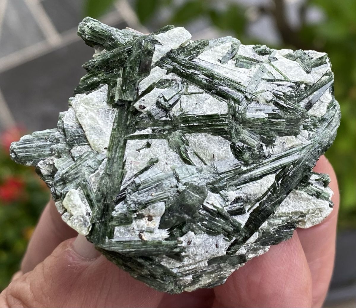 Mineralien & Heilsteine: Top Aktinolith  – Gebraucht aus Selzach von 321compac 3
