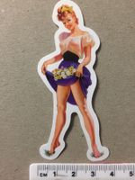 Pin up Pinup Girl Aufkleber Sticker Nr 22