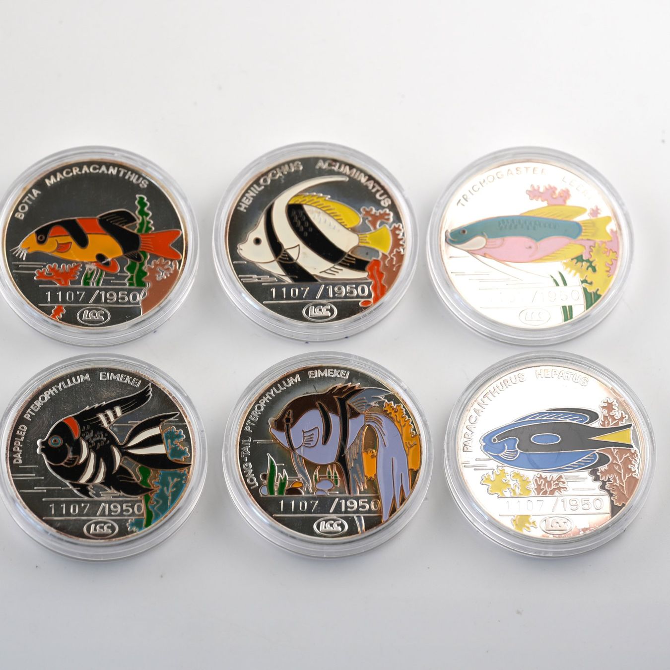 Tutti le monete: 6x1 Oz Silber 500 Won – Usato da Basel venduto da Vip24