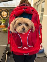 Kurgo Tiertransport-Rucksack G-Train K9, Chili Red