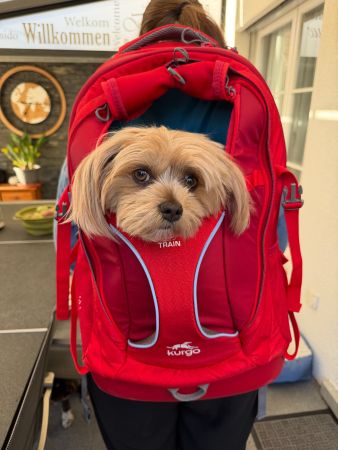 Kurgo Tiertransport-Rucksack G-Train K9, Chili Red