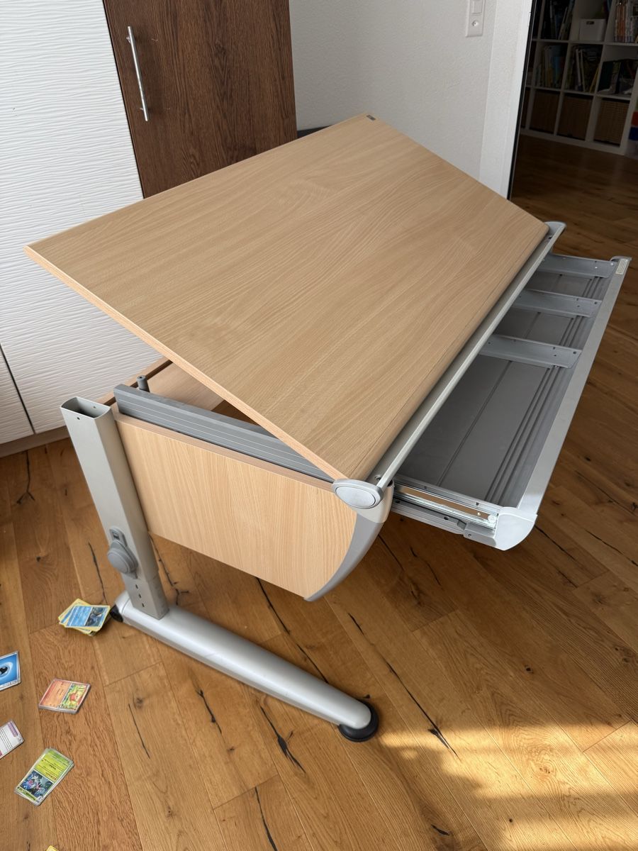 Moll Schreibtische: Schreibtisch Moll mit Rollcontainer – Gebraucht aus Kerns von ritardando 1