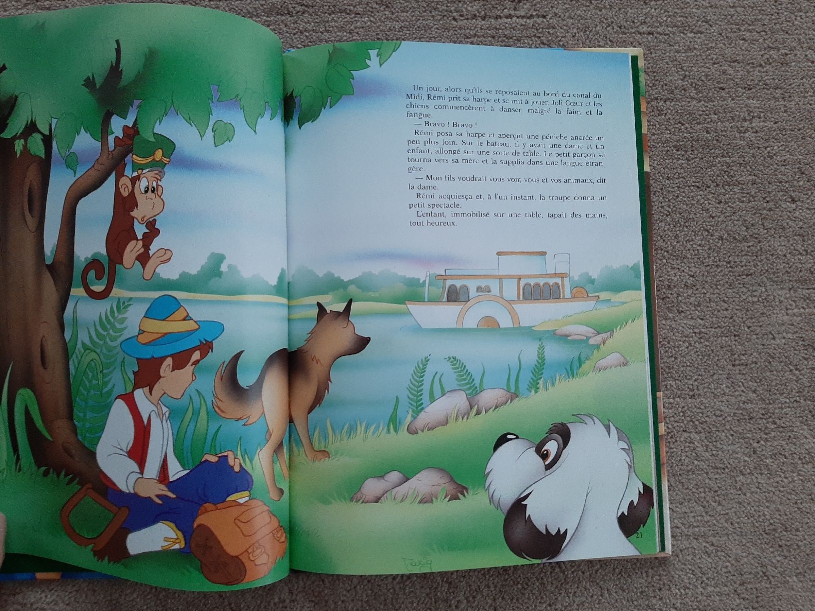Libri: Livre Sans Famille – Usato da Wittenbach venduto da lukelu 2