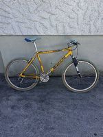 Mountainbike Bianchi NTH X30 gelb gebraucht guter Zustand