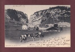COL DES ROCHES - Vaches - 1901