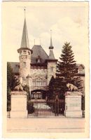 BERN . Historisches Museum ca. 1920 (BE)