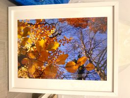 Photo originale feuilles en automne avec cadre 40 x 50