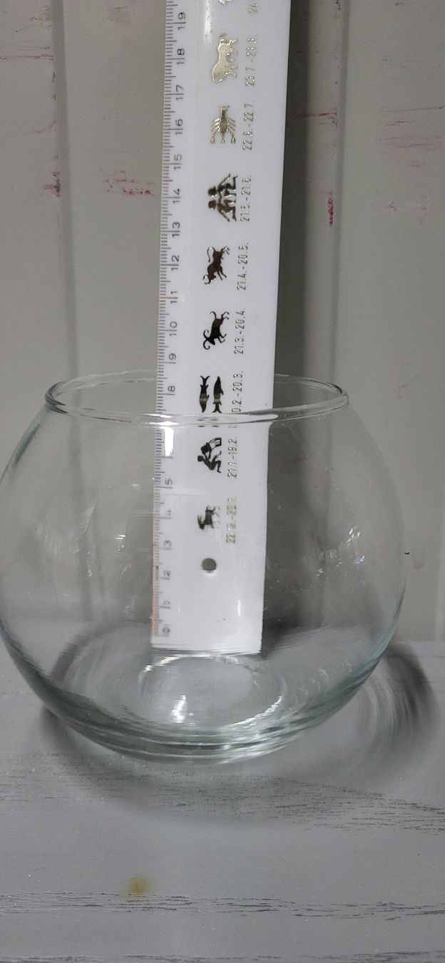 Tutte le decorazioni: 5 Glasvasen – Nuovo (secondo la descrizione) da Figino venduto da mayam63 2