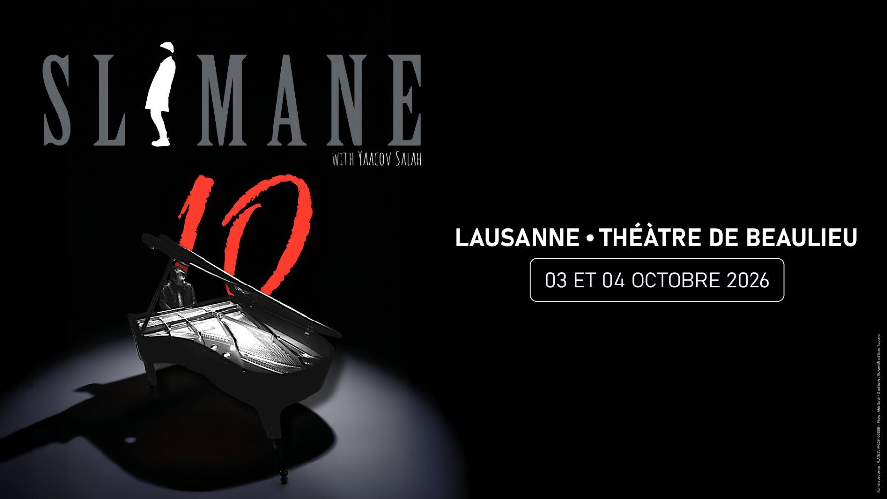 Tickets: 2x billets Slimane (Lausanne) – Neu (gemäss Beschreibung) aus Arnex-sur-Orbe von kprt