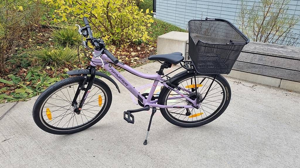 Biciclette: 24 Zoll Mountainbike Genesis Evolution – Usato da Luzern venduto da La_Favorita 3