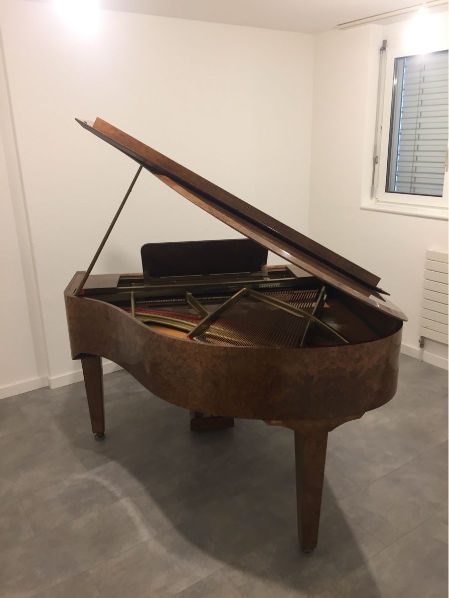 Strumenti musicali: Flügel Sabel Modell 155 – Usato da Basel venduto da RAM013 1