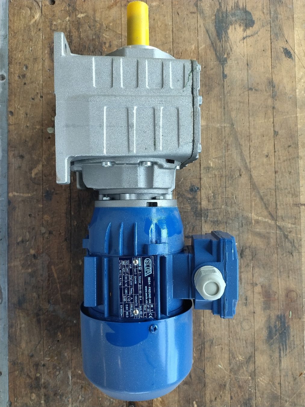 Motoren: Getriebemotor  – Neu und originalverpackt aus Brüttisellen von Grorbas