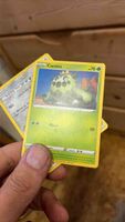 Pokemon Karte Cacnea Basic guter Zustand