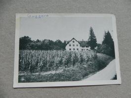 Karte Benken ZH Rest. Guggere Wein 1940