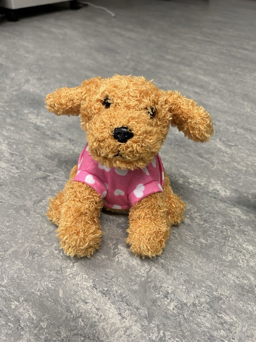 Spielzeuge: Labertier Hund – Neu (gemäss Beschreibung) aus Hombrechtikon von Etagere92