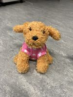 Labertier Hund