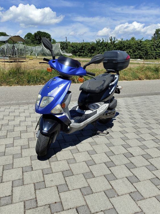 Pgo Scooters: PGO T-REX 125 – Gebraucht aus Lyss von ben_lgb6 2