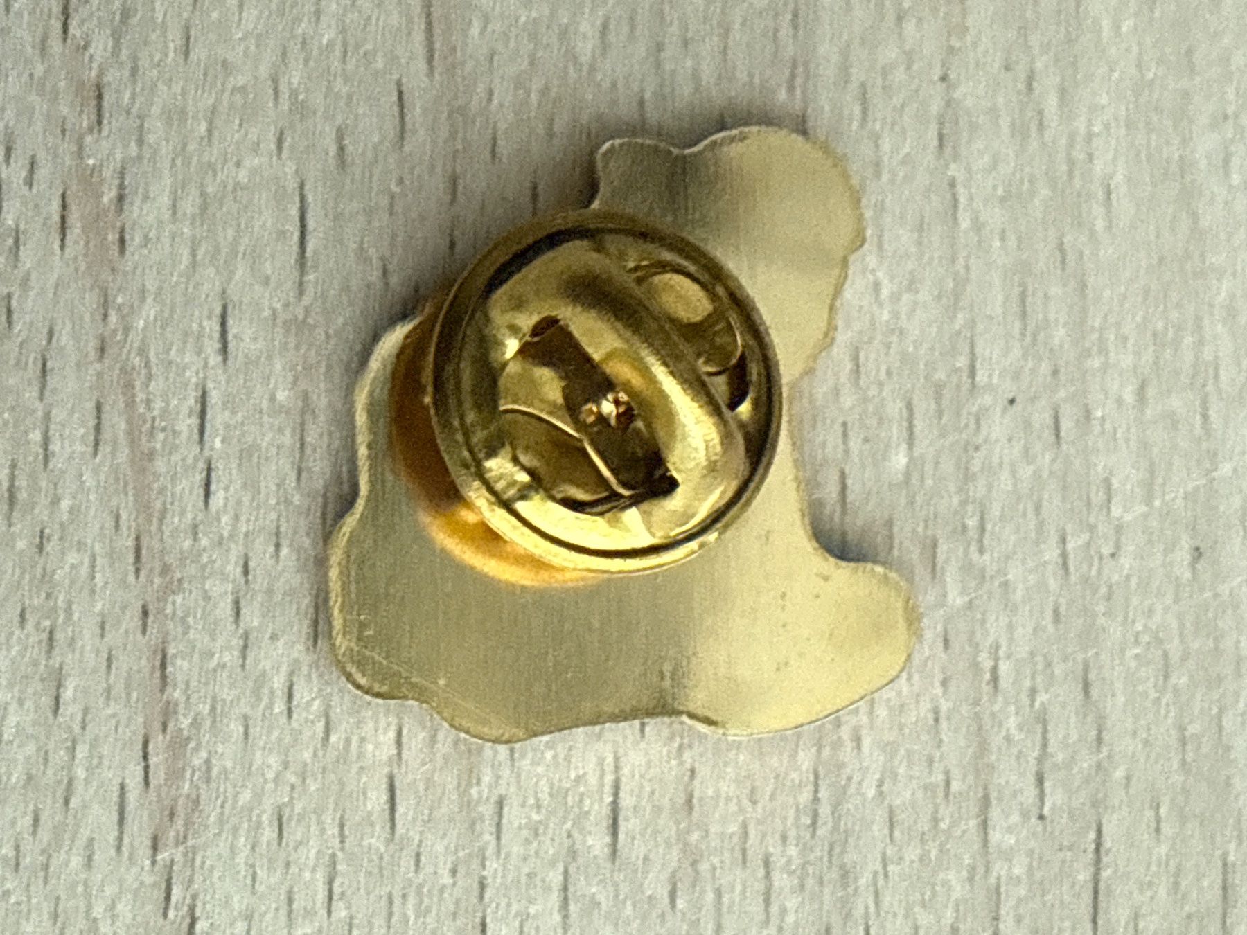 Placchette & Badge: Pin Ascona Lagomaggiore – Usato da Glattbrugg venduto da Schweigmatt 1