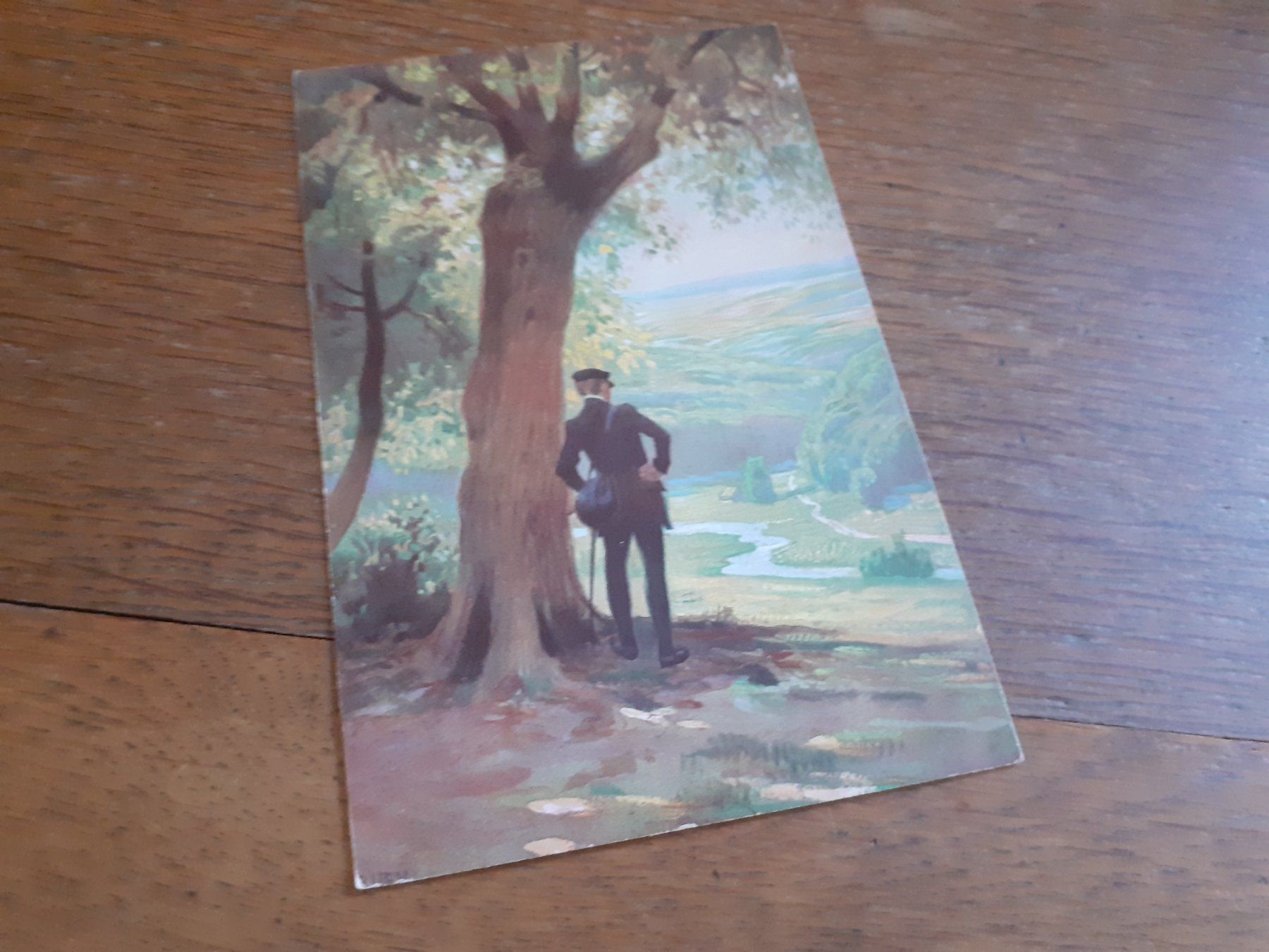 Cartoline postali: O TAELER WEIT, o HOEHEN -VOLKSLIED -DEUTSCHTUM -THIERACHERN – Usato da Winterthur venduto da Ornyx7