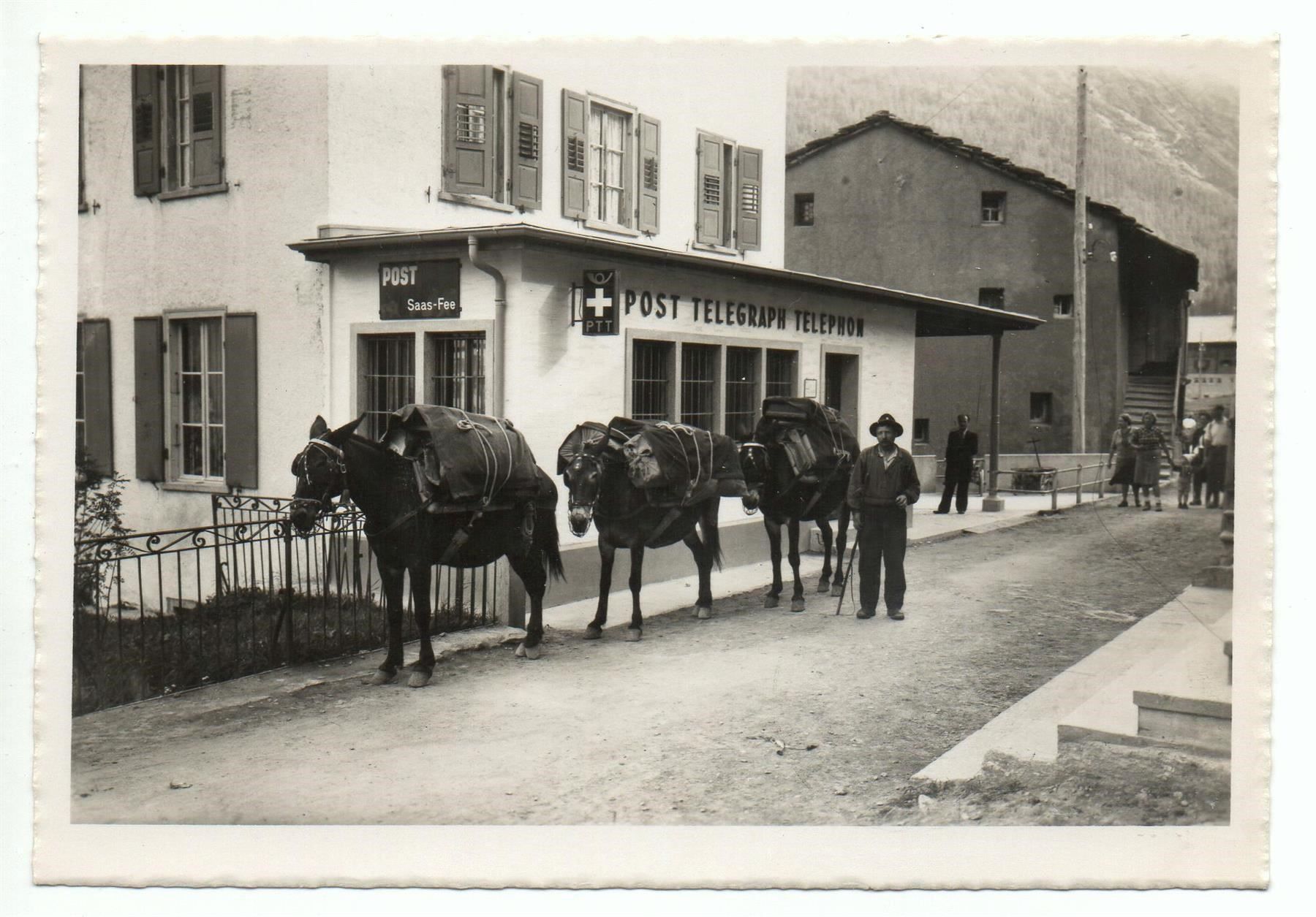 Cartoline postali: SAAS-FEE Post Telegraph Maultier-Post – Nuovo (secondo la descrizione) da Jona venduto da philajona