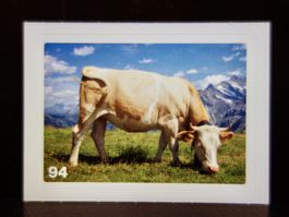 MIGROS MANIA Nature Detectives Nr. 94