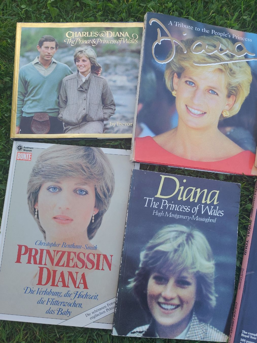 Libri: Princess Diana Books Collection – Usato da Mägenwil venduto da VintageGirly 1