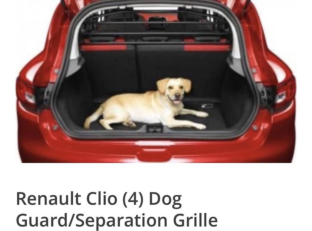 Renault Tutti pezzi di ricambio auto: Grille de séparation Clio 4 breck – Usato da Genève venduto da CARLOS-CFO