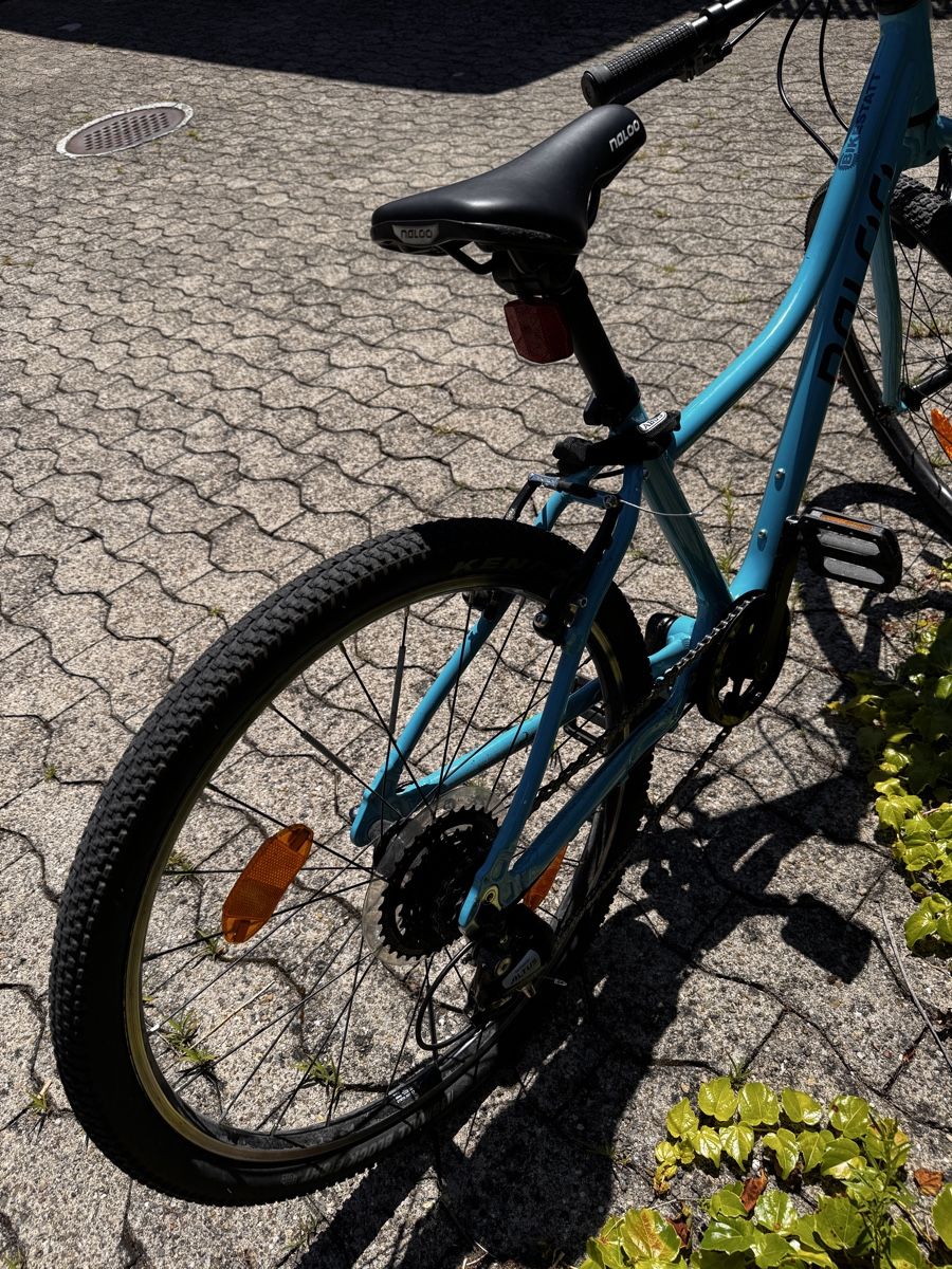 Naloo Biciclette: Naloo Chameleon 24 Zoll Kindervelo – Usato da Rüti ZH venduto da bashki 4