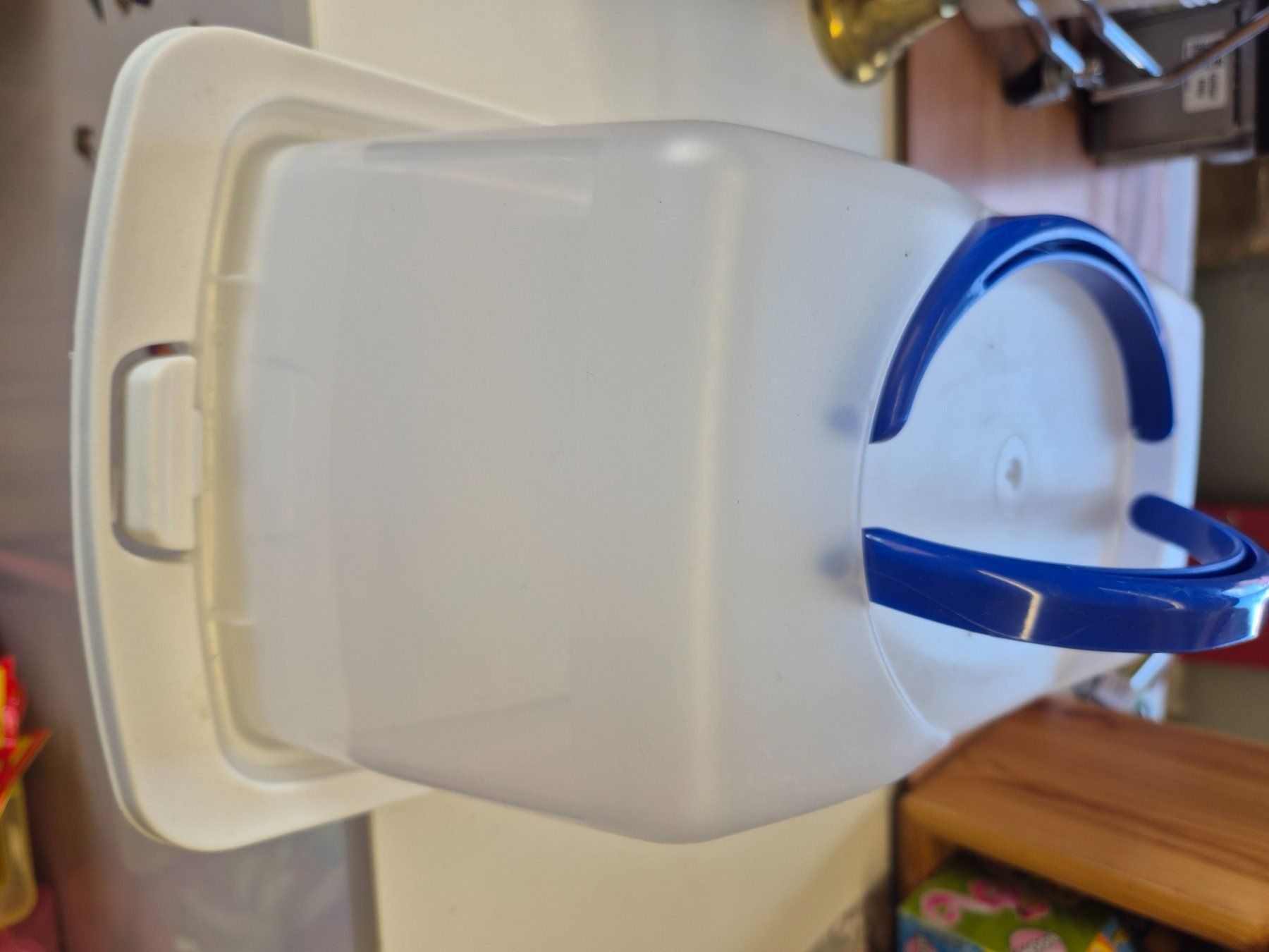 Contenitori & Simili: Cake transportbox transparent 39x19x15cm – Nuovo (secondo la descrizione) da Schwarzenburg venduto da Flamingo07 2