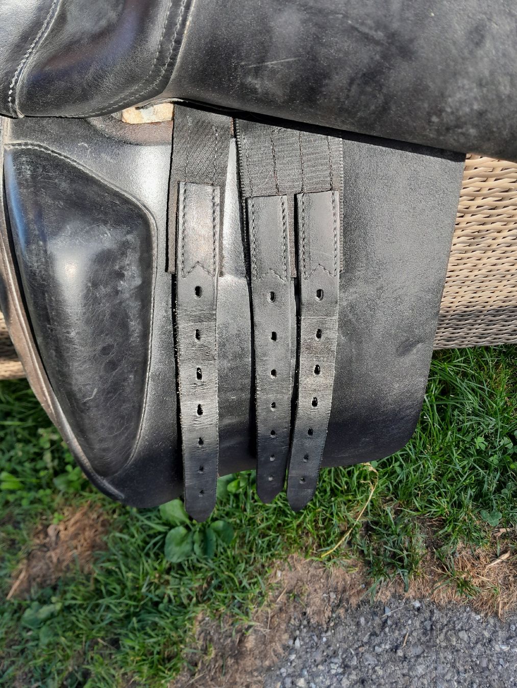 Selle & Accessori: Cobra Dressursattel – Usato da Davos Frauenkirch venduto da reg_95gr 5