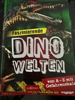 Buch Faszinierende Dino-Welten