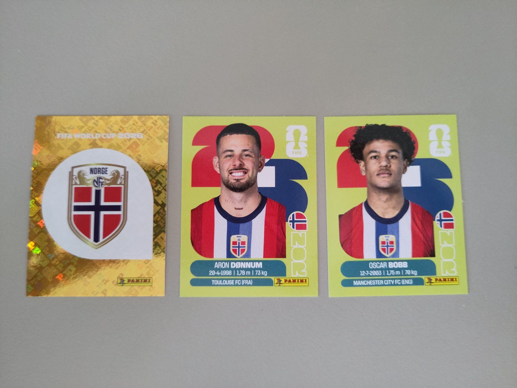 Panini Carte collezionabili: FIFA Panini Norway (NOR) – Usato da Bern venduto da gil_rkx8
