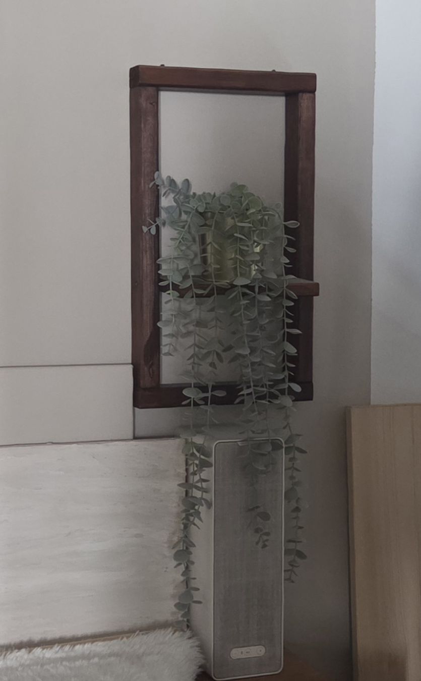 Pflanzen & Samen: Fejka Topfpflanze Eukalyptus, 9 cm Durchmesser, 3 Stk – Neu (gemäss Beschreibung) aus Nendeln von Zopfie_ 1