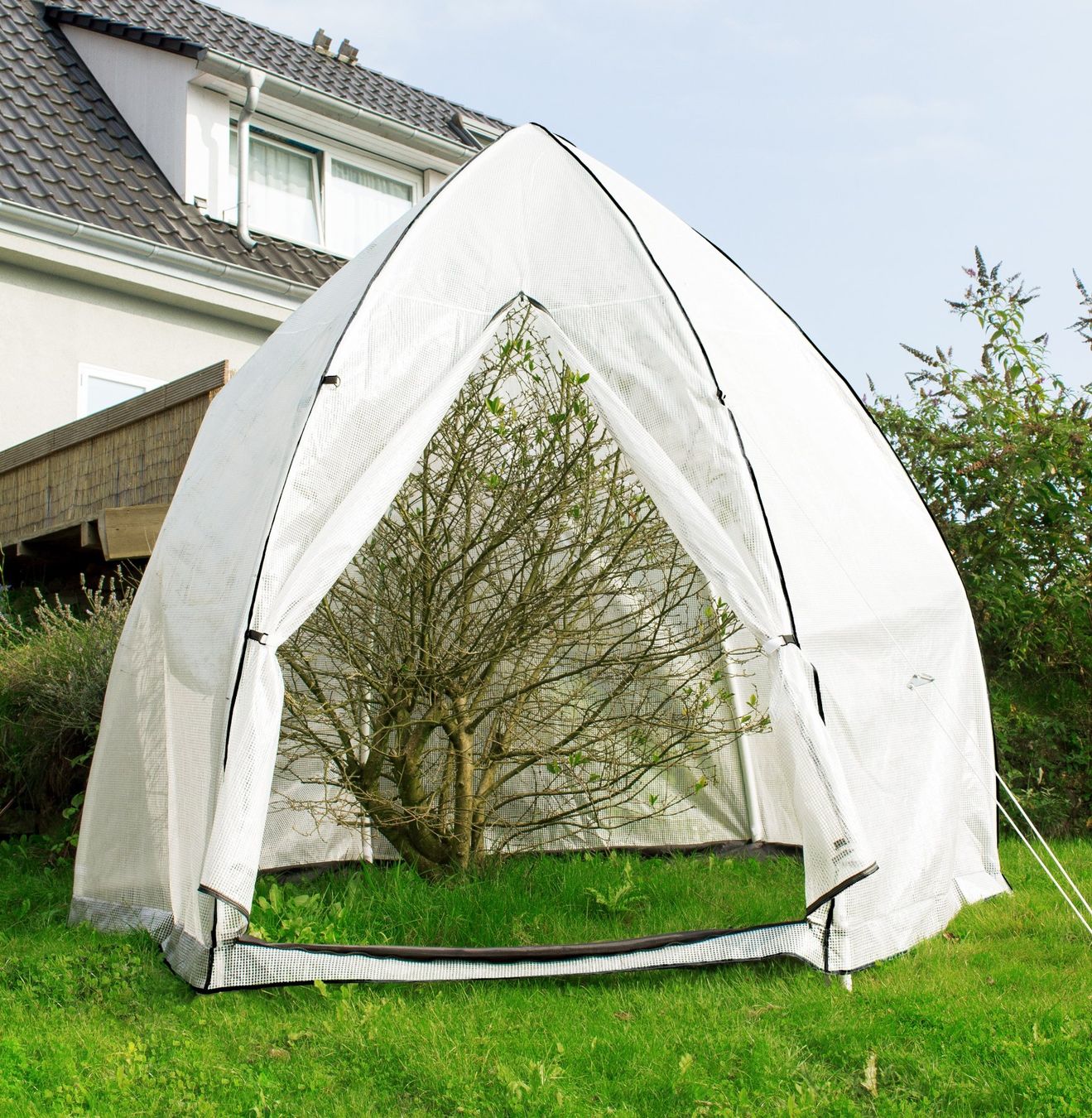Gartenhäuser & Gewächshäuser: Pflanzenzelt Hawaii XL – Neu und originalverpackt aus Erlinsbach von Home-World