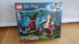 Lego Harry Potter 75967 Forbidden Forest: Umbridge's Encount
