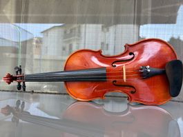 4/4 Geige / Violine