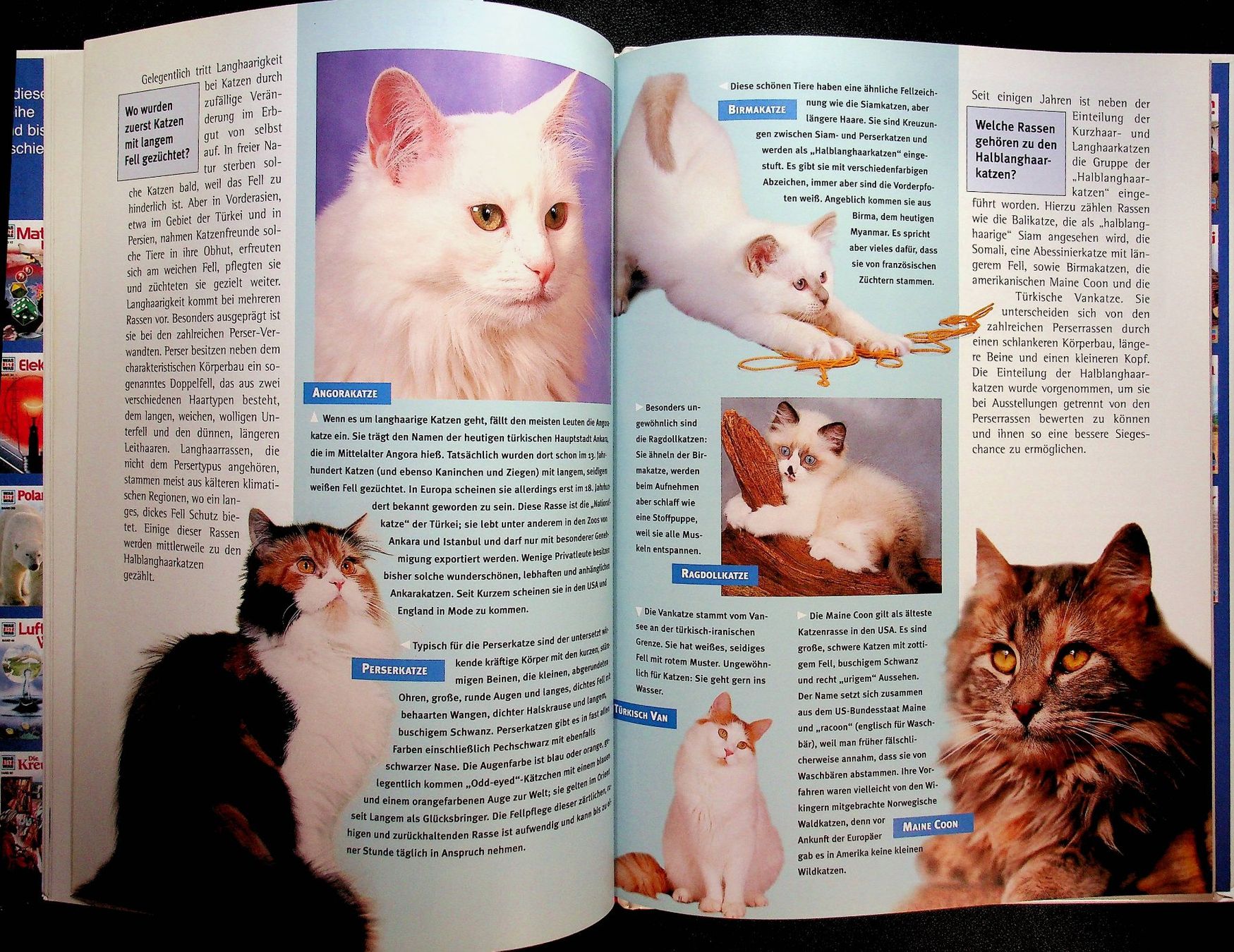 Livres: Was ist was Band 59 Katzen – D'occasion à Reitnau par Zaomir 6