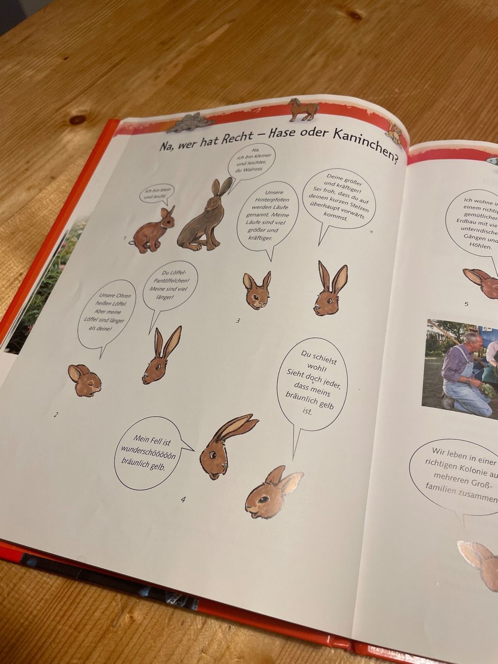 Libri: Kinder-Löwenzahn Kleine und grosse Tiere – Usato da Sent venduto da ManuelB07 5