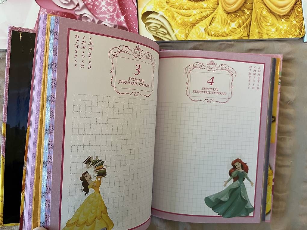 Blocchi: Disney Pricess Set – Usato da Mörschwil venduto da nvcmi 3