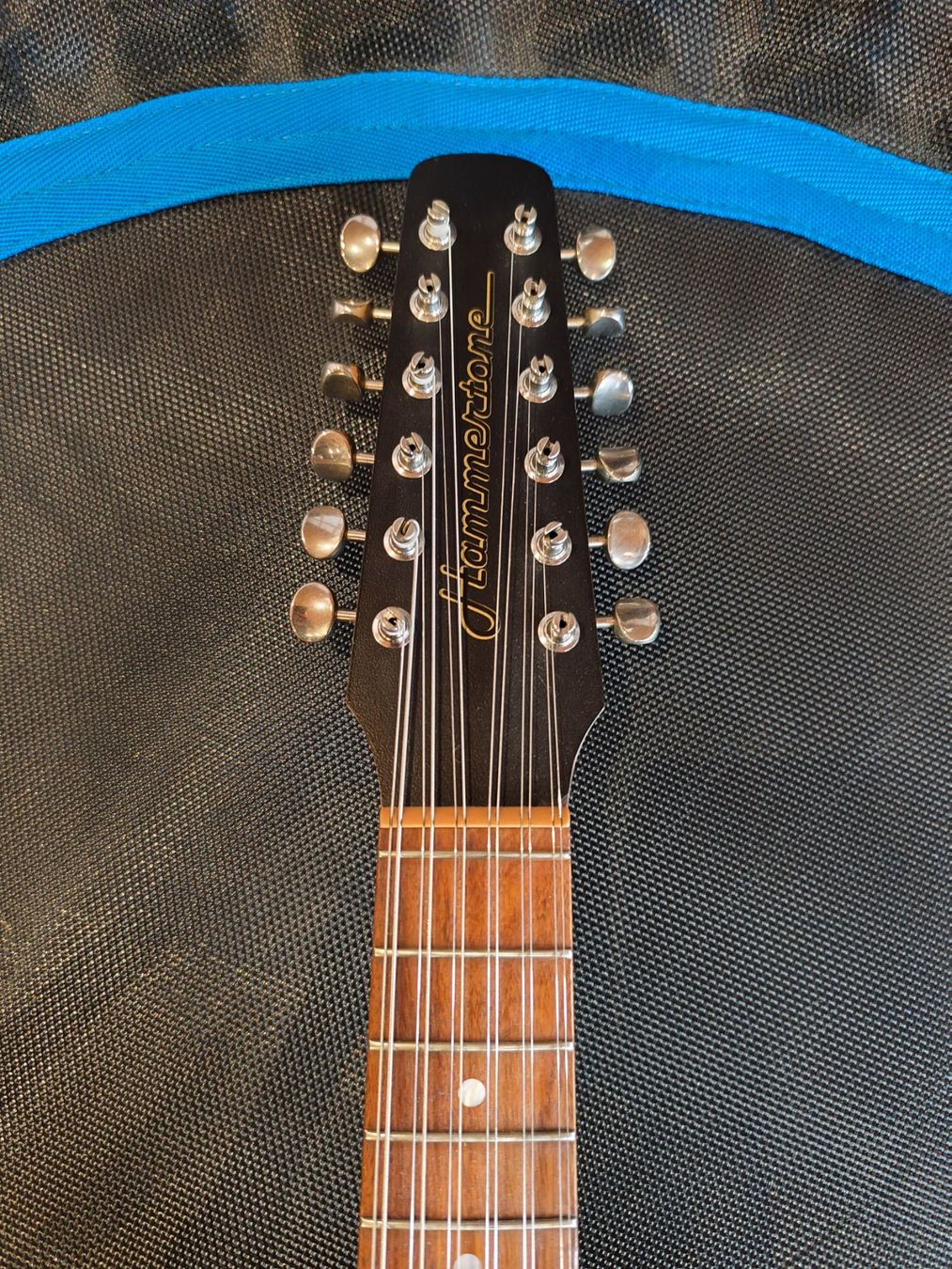 Strumenti musicali: Hammertone 12 String Octave MandoGuitar – Usato da Zofingen venduto da Fade8 2