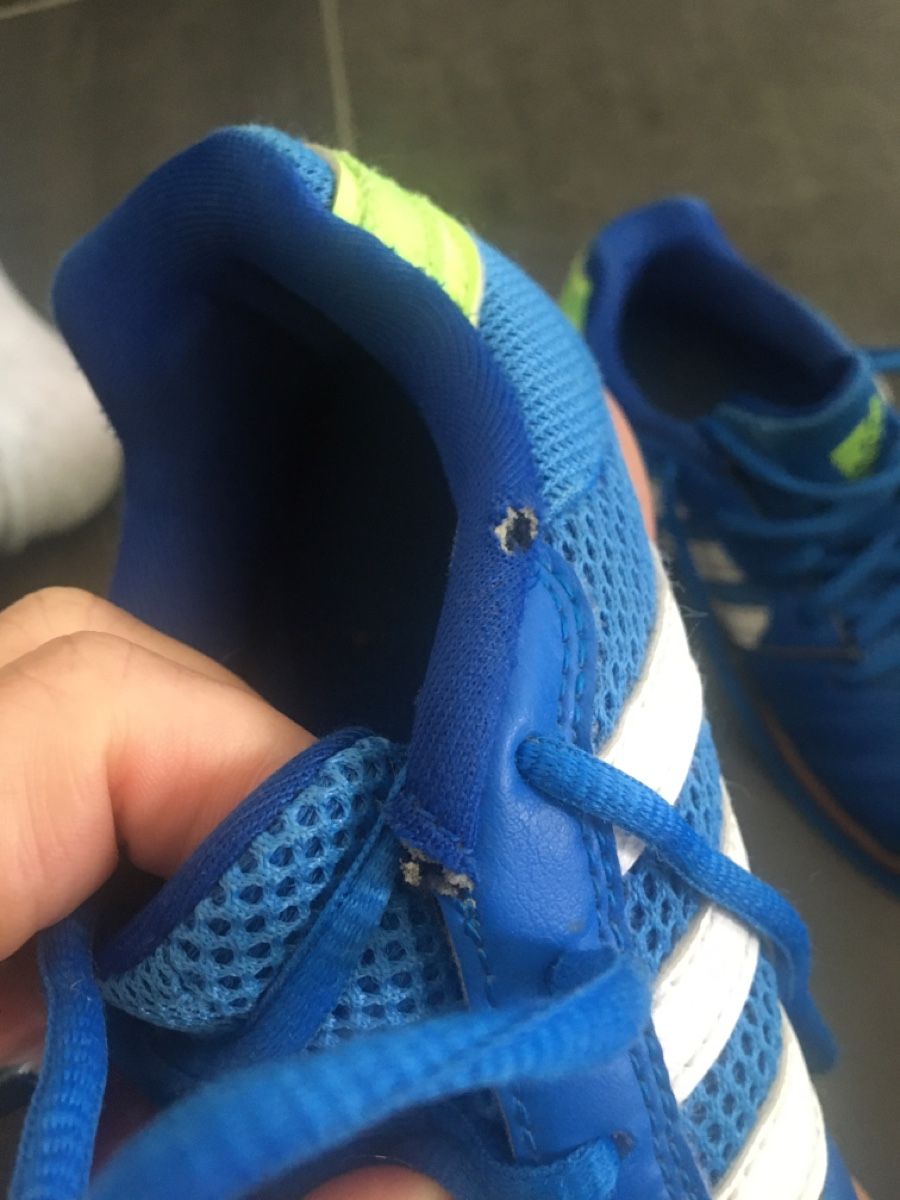 Adidas Schuhe für Jungen: Hallenschuh adidas gr. 32 – Gebraucht aus Bauma von ladygaby 1